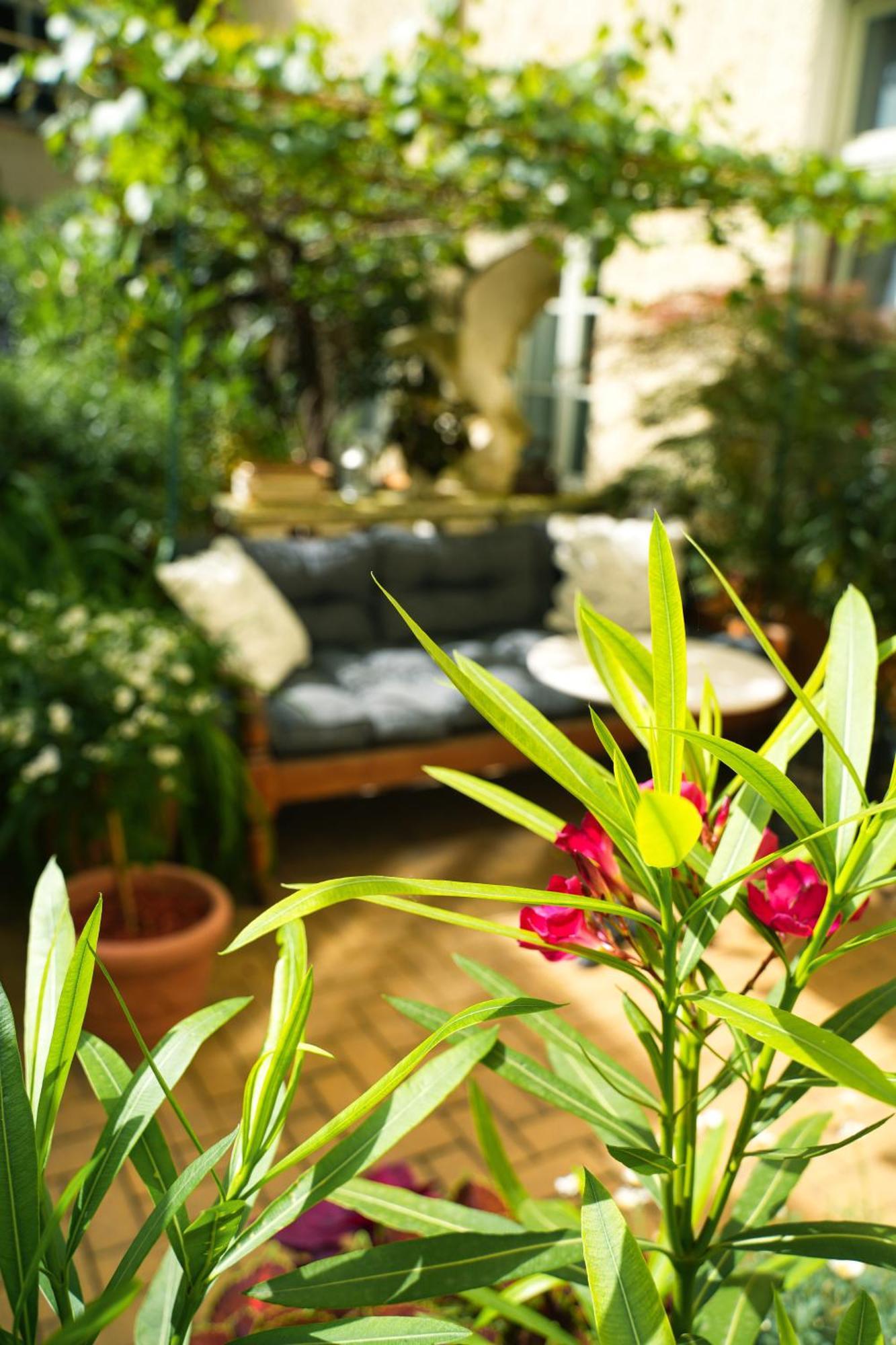 برلين Honigmond Boutique Hotel المظهر الخارجي الصورة